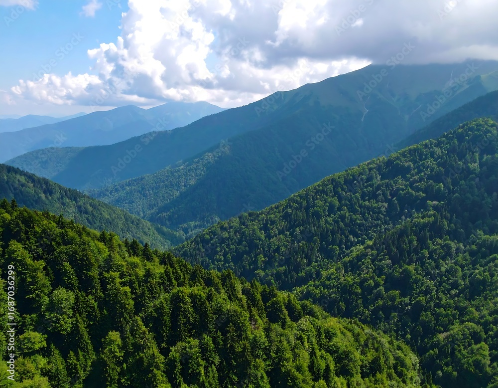 Fototapeta premium Mountain vista with lush green forests