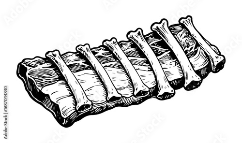 Beef vector engraving style illustration