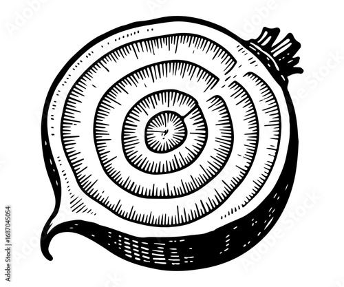 Beetroot vector engraving style illustration