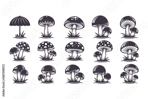  Mushroom Vector Illustration Set