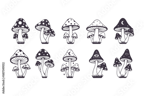 Magic Mushroom Vector Illustration Set