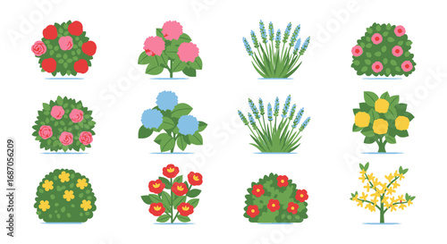 Floral Plant Set, Colorful Garden Elements, Decorative Foliage Vector Illustration
