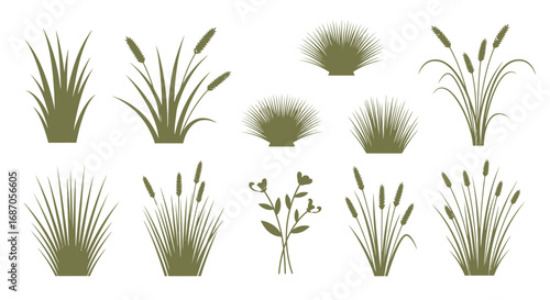 Decorative Vector Grass and Flower Silhouettes Collection