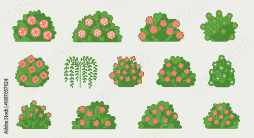 Floral bushes and weeping tree vector illustrations for landscape design