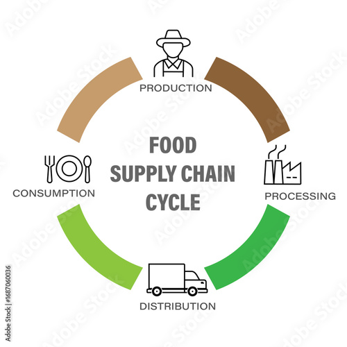 Food Supply Chain Cycle Infographic – Production, Processing, Distribution, Consumption