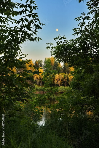 Wallpaper Mural Summer evening on the Belaya River. Torontodigital.ca