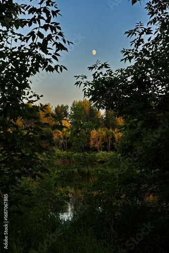 Summer evening on the Belaya River.