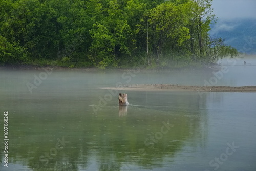 Wallpaper Mural Fog on the shore of Lake Baikal. Torontodigital.ca