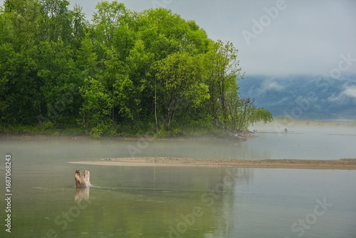 Wallpaper Mural Fog on the shore of Lake Baikal. Torontodigital.ca