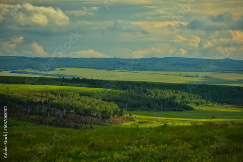 Wallpaper Mural Hills of the West Siberian Plain. Torontodigital.ca