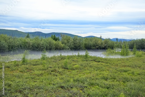 Wallpaper Mural Fog over the river in the Yakut taiga. Torontodigital.ca