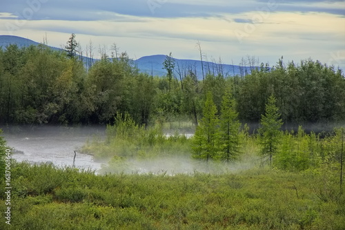 Wallpaper Mural Fog over the river in the Yakut taiga. Torontodigital.ca