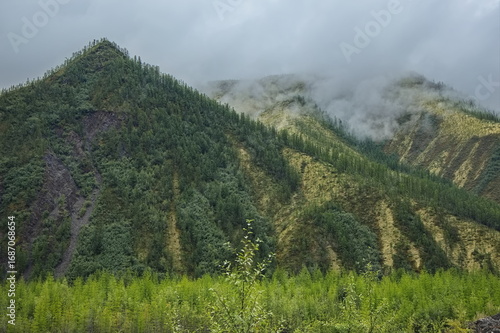 Wallpaper Mural Fog on the hills of Yakutia. Torontodigital.ca