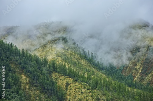 Wallpaper Mural Fog on the hills of Yakutia. Torontodigital.ca