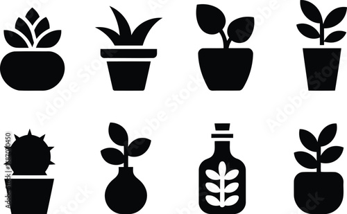 Botanical Icons Set Featuring Indoor Plants in Various Pots and a Glass Bottle with a Plant Motif Depicting Nature
