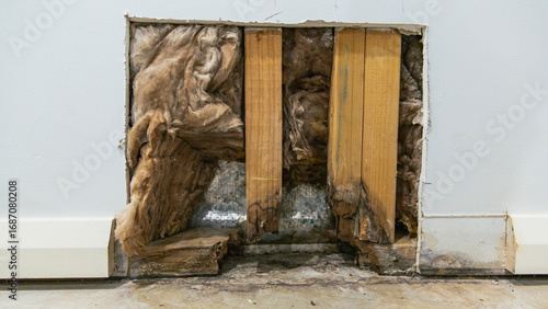 Interior wall cutout exposing moldy insulation and rotten wooden framing near baseboard, signs of severe water damage and structural decay
