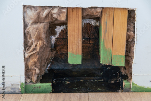 Wall section opened to reveal interior insulation and wood framing with mold and moisture damage, exposed construction and structural decay issues