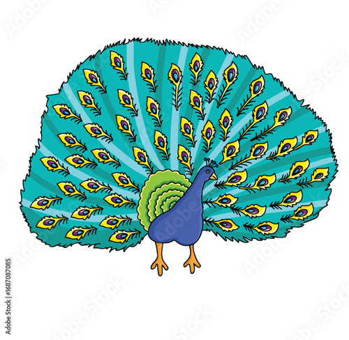 Cute cartoon hand drawn vector peacock clipart.