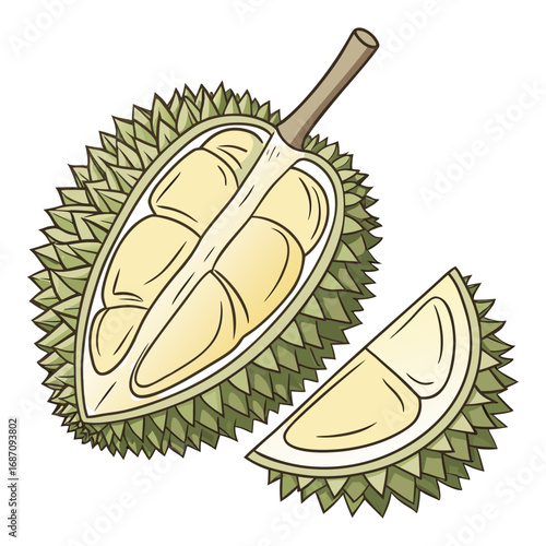 Durian Fruit A Tropical Delight