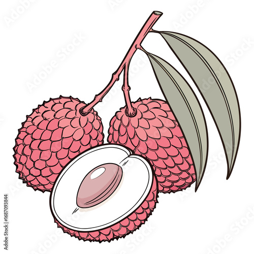 Fresh tropical lychee fruit on a branch, whole and cut in half