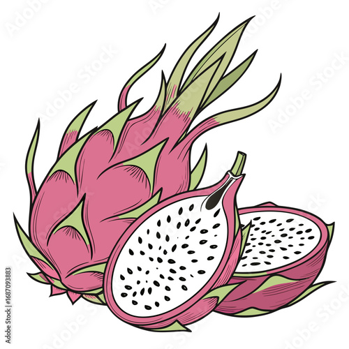 Vibrant Dragon Fruit Illustration