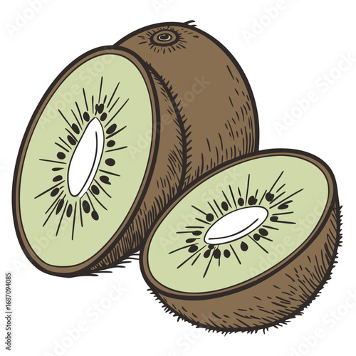 Delicious Kiwi Fruit Slices Illustration