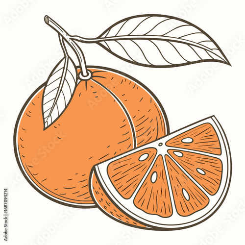 Fresh Orange Fruit Illustration