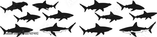 set of Shark silhouette vector set, fins, hammerhead, great white shark in black shapes, aquatic, marine life, predator icon, sea creatures, ocean wildlife