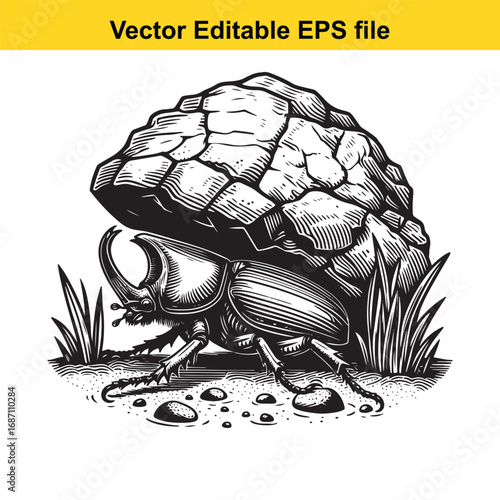 Rhinoceros beetle pushing a large rock, vector illustration