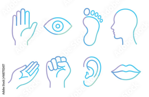 Neon symbols of human senses: hand, eye, foot, profile, palm, fist, ear, lips