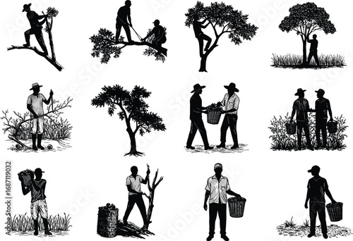 Silhouette farming workers, harvesting crops, carrying baskets, tending trees, rural agriculture, traditional farm labor, orchard, agricultural illustration