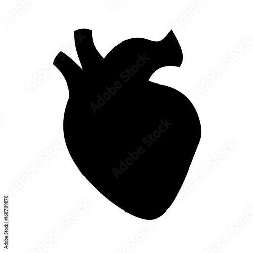 Human heart anatomy illustration for medical purposes cardiovascular system study tool