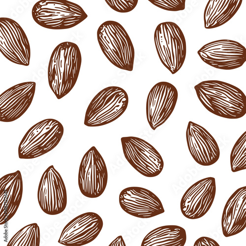 Abstract background with nuts. Almond vector