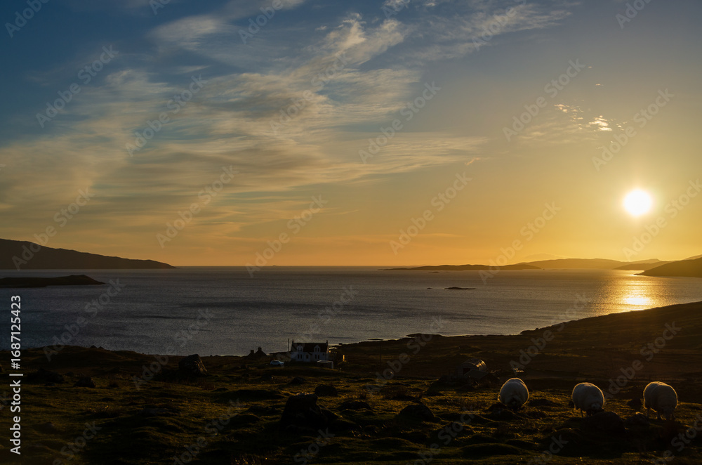 Fototapeta premium Scenic Sunset Over Isle of Skye Coastline with Grazing Sheep