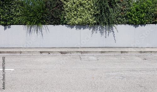 Wallpaper Mural Gray plaster fence with different evergreen plants used as single hedge. Concrete sidewalk and street in front. Background for copy space. Torontodigital.ca