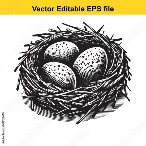 Bird nest with three speckled eggs, isolated on white background