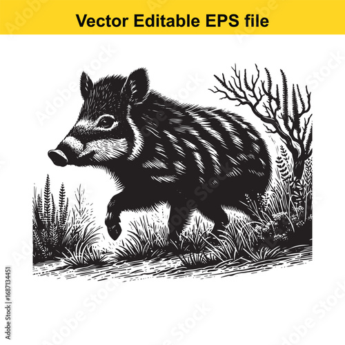 Wild boar running through tall grass and bushes, black and white illustration