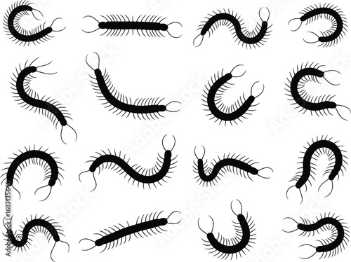 Centipede silhouette collection, insect vector set, black creepy crawlers, segmented body, multiple legs, entomology design, isolated bug shapes, horror theme