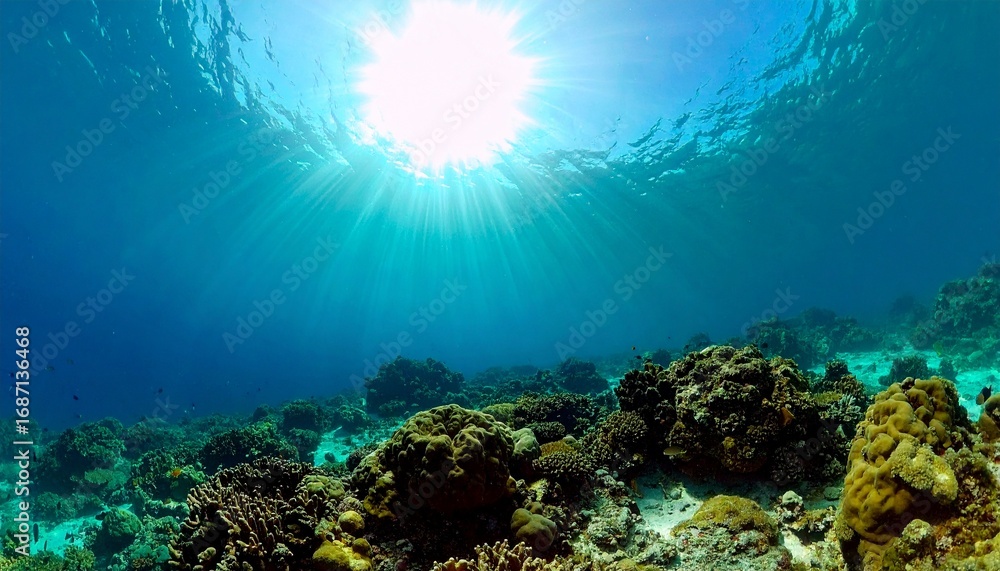 Naklejka premium Sunlight piercing through clear blue ocean water illuminating a healthy coral reef.