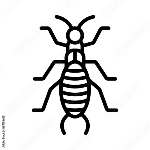 Earwig