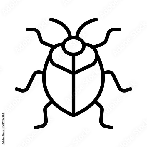 Stink Bug