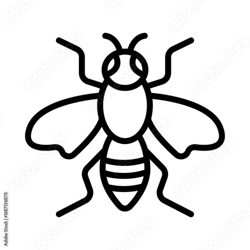 Wasp