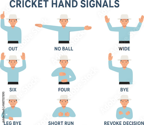 Cricket Umpire Hand Signals Explained Infographic