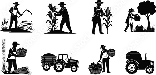 Farmers harvesting crops, corn picking, wheat cutting, basket full of produce, tractor transporting harvest, agricultural work, rural farming silhouettes