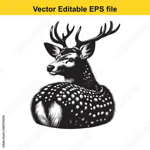 Black and white illustration of a deer with spots, isolated on white background