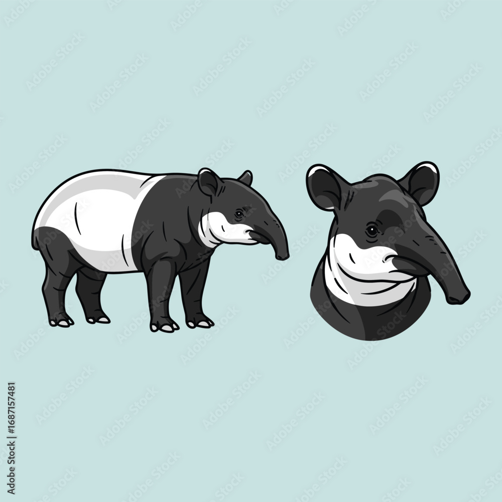 Obraz premium Tapir Illustration Fullbody and Head