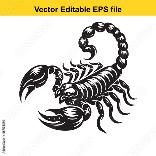 Scorpion illustration isolated on white background
