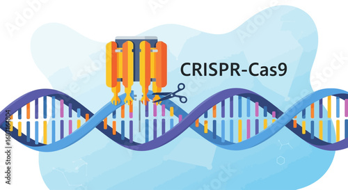 Illustration of CRISPR-Cas9 gene editing technology, showing the protein complex cutting a DNA strand with scissors, against a light blue background.