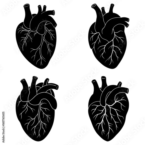 Four anatomical hearts in black and white showing the organ with arteries and veins on a white background