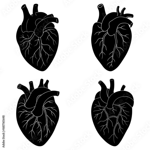 Four anatomical heart illustrations in black and white showing arteries and veins in detailed graphic style